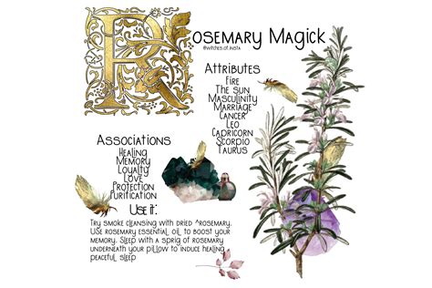 Rosemary magical proporties